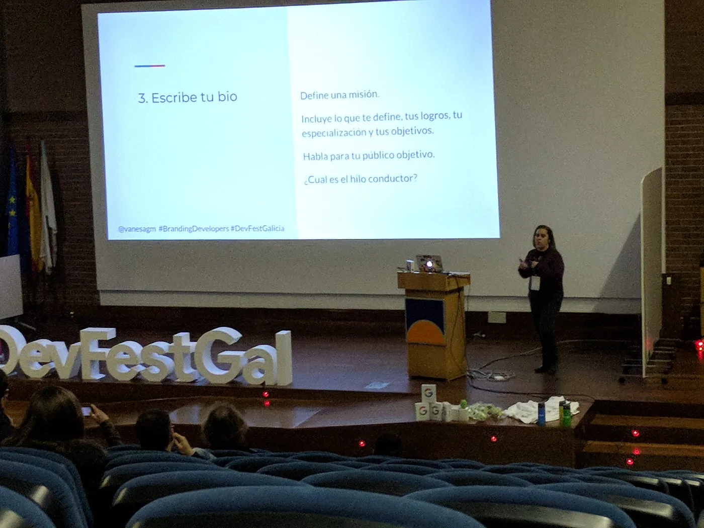 devfestgal-2017-vanesa-presenting.png